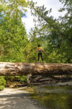 Female hiker with backpack standing on large fallen log spanning creek in lush green cathedral