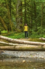 Female hiker standing on fallen log, admiring towering trees and lush greenery in the tranquil