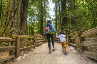 Mother and son holding hands are enjoying a leisurely stroll through a majestic redwood forest,