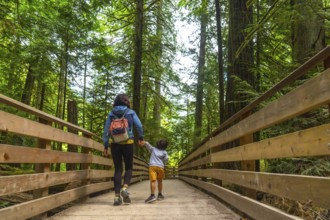 Mother and son holding hands are enjoying a summer walk on a wooden bridge surrounded by giant