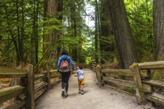 Mother and son holding hands while walking down a wooden trail in a majestic redwood forest,