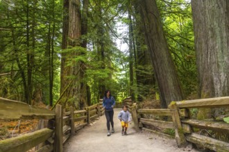Mother and son walking along a scenic redwood forest trail in cathedral grove, macmillan provincial