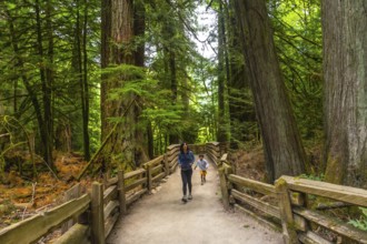 Mother and son enjoying a walk through a lush redwood forest trail, surrounded by towering trees