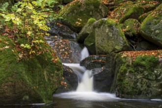 Water from the Ilse flows over mossy rocks in a picturesque forest, surrounded by autumn colors,