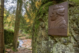 A memorial plaque of Heinrich Heine on a rock in an autumn forest, surrounded by trees, Ilse