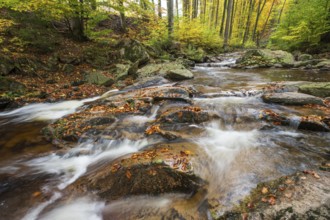 The river Ilse A stream flows quickly over rocks in an autumnal forest, Ilsetal, Harz National