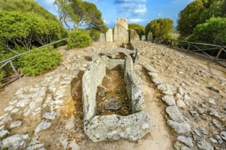 Tomb of the Giants, Tomba dei Giganti, Coddu Vecchiu, Arzachena, Gallura, Sassari Province.