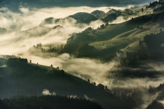 View from Belchen, morning mood with fog in autumn, sunrise, Belchen, Black Forest, Southern Black