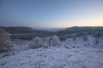 An impressive winter landscape on Randecker Maar near Ochsenwang, where a mystical sea of fog