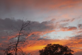 Wonderful sunset, impressive, so beautiful, Moormerland, East Frisia, Niederschsen, Germany