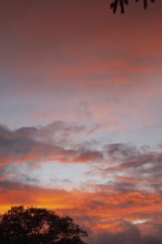 Wonderful sunset, impressive, so beautiful, Moormerland, East Frisia, Niederschsen, Germany