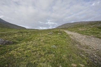 Rocky path through green hills under overcast sky, Nordkapp
