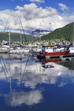 Harbour view with boats and reflections in the water, Tromso
