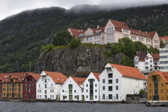 Coastal view with various houses and mountains under a cloudy sky, Bergen Norway