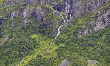 A waterfall cascades over green rocks surrounded by thick vegetation and steep hills, Norway