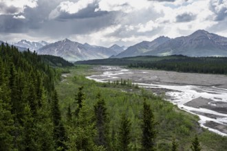 Taiga and tundra with Teklanika River, mountain scenery of the Alaska Range with dramatic cloudy