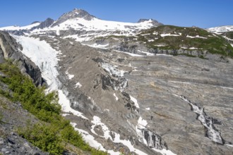 View of the remains of the Worthington Glacier tongue, Worthington Glacier Lagoon, Worthington
