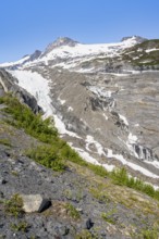 View of the remains of the Worthington Glacier tongue, Worthington Glacier Lagoon, Worthington