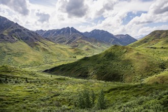 Tundra and mountainous landscape of the Alaska Range, Sable Pass, Denali National Park and