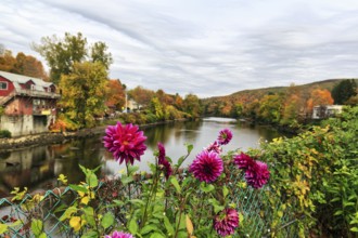 Flower bridge, Bridge of Flowers, bridge over Deerfield River, gardens, autumn leaves, Indian