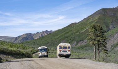 Tourist buses, national park bus on a dirt road, mountainous landscape, Denali Park Road, Denali