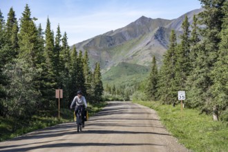 Young woman riding a bicycle on a dirt road through taiga, mountainous landscape, Denali Park Road,