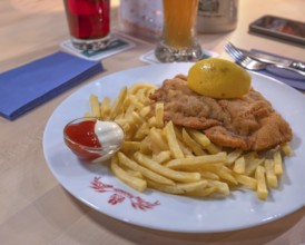 Wiener schnitzel with French fries, ketchup and mayonnaise, Franconia, Bavaria, Germany