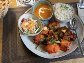 Indian dish: marinated chicken breast pieces grilled with rice and salad, Franconia, Bavaria,