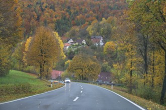 Federal road leads through an autumnal mixed forest, Egloffstein, Upper Franconia, Bavaria, Germany