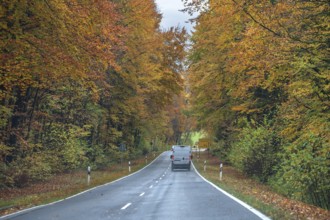 Federal road surrounded by mixed autumn forest, Gräfenberg, Upper Franconia, Bavaria, Germany