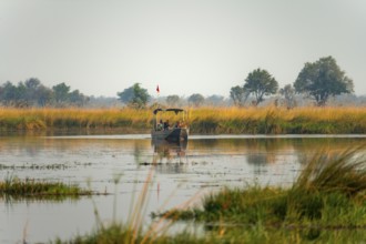 Tourist boat on safari in the lagoon, Xakanaxa Lagoon, Okavango Delta, Moremi Game Reserve,