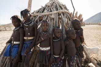 Himba children standing at hut, traditional Himba village, Kaokoveld, Kunene, Namibia