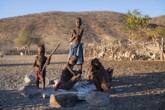 Himba children at a fireplace, traditional Himba village, Kaokoveld, Kunene, Namibia