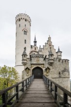 Castle and autumnal forest, Lichtenstein Castle, Honau, Echaz Valley, Swabian Jura,