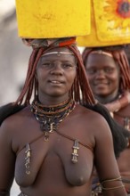 Himba woman fetching water, heavy water bucket on their heads, traditional Himba, Kaokoveld,