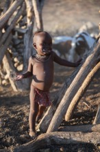 Himba child at the goat stable looks funny, traditional Himba village, Kaokoveld, Kunene, Namibia