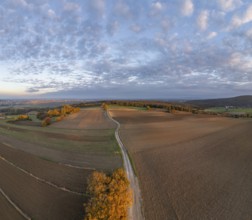 Aerial view of fields and autumn forest on Grossauer Höhe, Berndorf, Lower Austria, Austria
