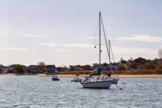 Sailboat, Shoreline, Winthrop, Atlantic Coast, Greater Boston Metropolitan Area, Massachusetts, New