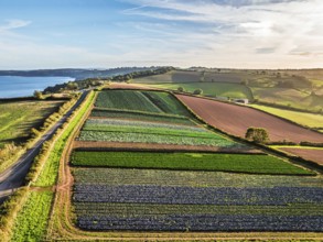 DefaultColours of autumn Fields and Farms over Sheldon from a drone, Torbay, Devon, England, United