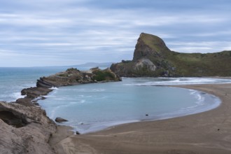 Deliverance Cove and Castle Rock, rocks, ocean, surf. In the lower right corner, a seal.