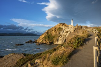 Sea, rocks, coast and Castlepoint lighthouse, evening, golden hour. Castlepoint, Wairarapa Coast,
