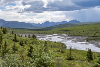 Savage River, tundra and mountainous landscape, Denali National Park, Alaska, USA
