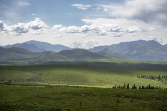 Tundra and glaciated peak of Denali or Mount McKinley, mountainous landscape, Denali National Park,
