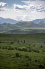 Tundra and glaciated peak of Denali or Mount McKinley, mountainous landscape, Denali National Park,