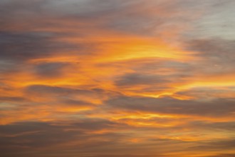 Warm orange clouds illuminate the sky at sunset, Baden-Württemberg, Germany