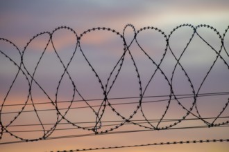 Barbed wire against a pastel evening sky offers a contrasting view, Baden-Württemberg, Germany