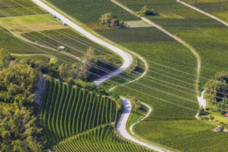 Power lines across vineyards and fields, view from Vercorin, Val d'Anniviers, Valais Alps, Canton