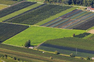 Rectangular fields, Calais, view from Vercorin, Val d'Anniviers, Valais Alps, Canton of Valais,