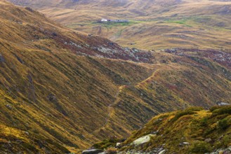Alpine meadows in autumn colors above the Lac de Moiry reservoir, Val d'Anniviers, Valais Alps,