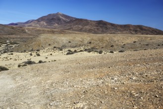 Wide, dry hilly landscape with a distant mountain under clear skies, Playa Blanca Lanzarote, Canary